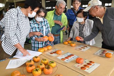 露地柿「次郎」目ぞろい会